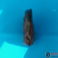 2025Ї(gu)^pʯW(wng)j(lu)[(hu)u(png)x(jing)ʯ۰¡