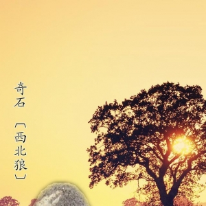 Ї(gu)ʮʯ֮һ