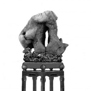 ZGQSZMS00012